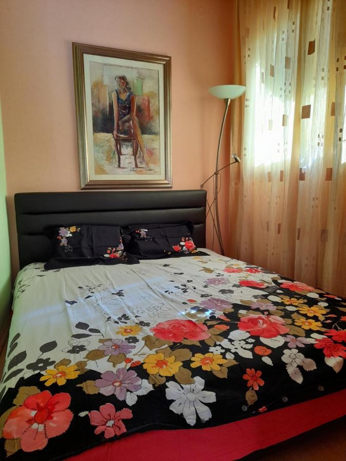 تْشيرسيك نوفي Villa Garden Apartments المظهر الخارجي الصورة
