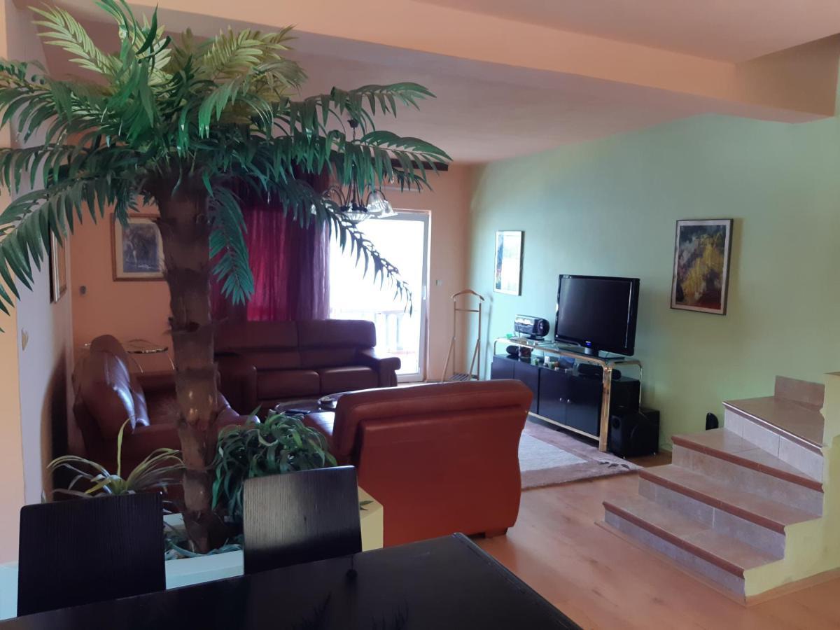 تْشيرسيك نوفي Villa Garden Apartments المظهر الخارجي الصورة