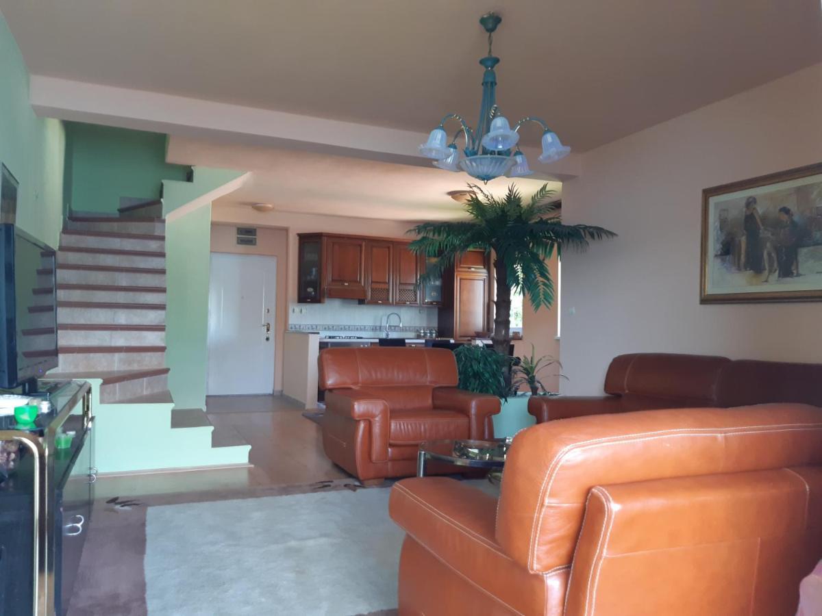 تْشيرسيك نوفي Villa Garden Apartments المظهر الخارجي الصورة