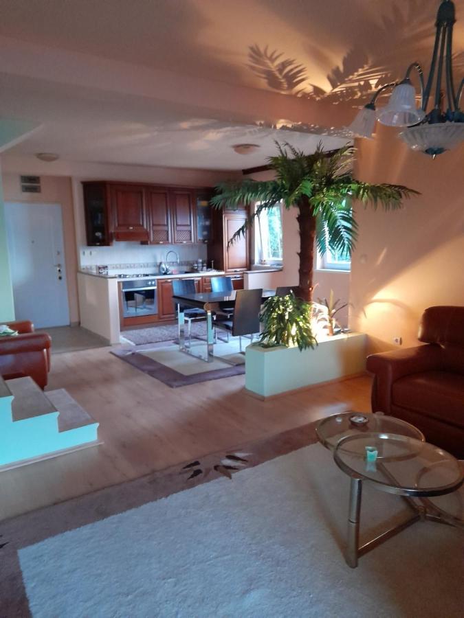 تْشيرسيك نوفي Villa Garden Apartments المظهر الخارجي الصورة